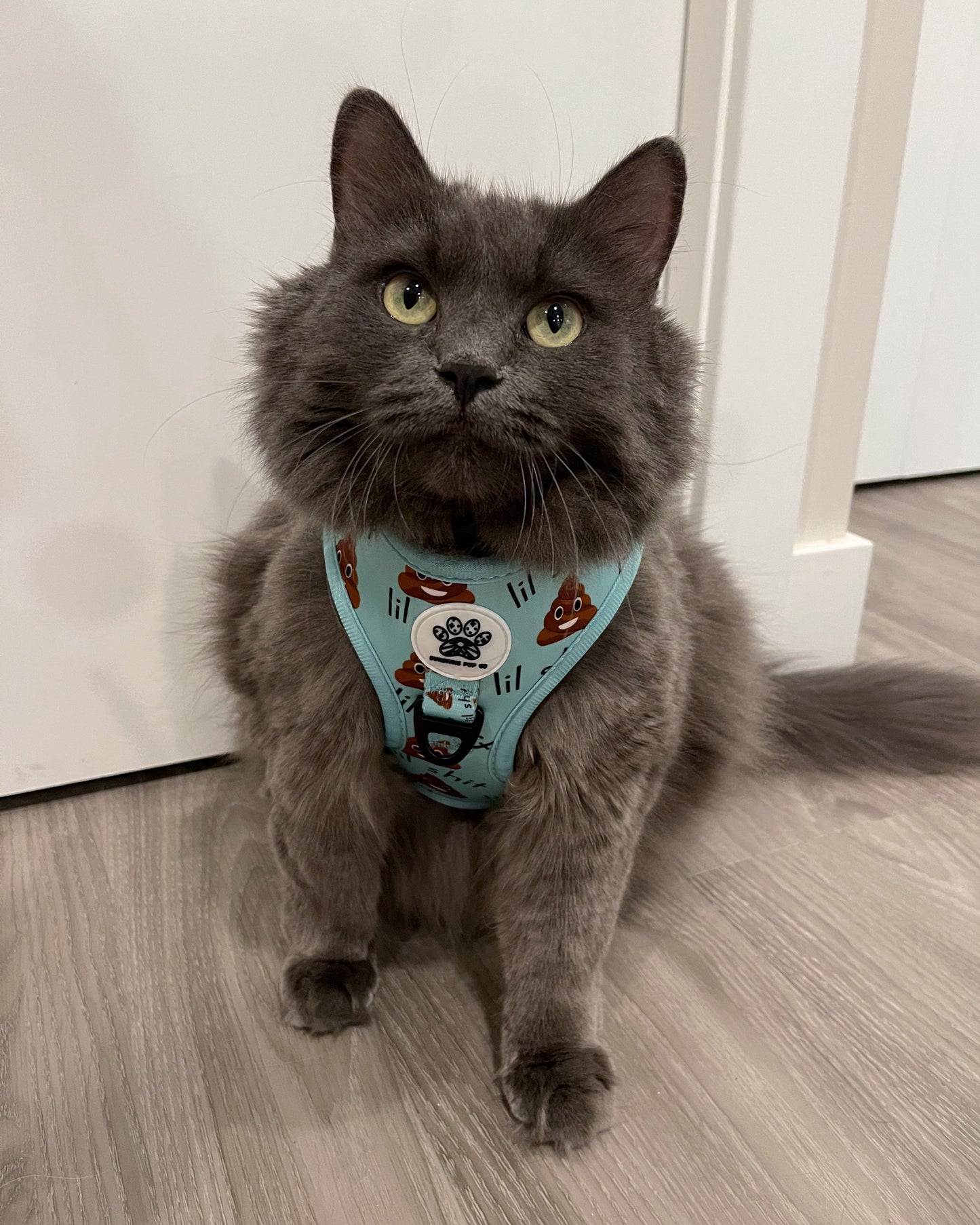 Lil Sh*t Harness