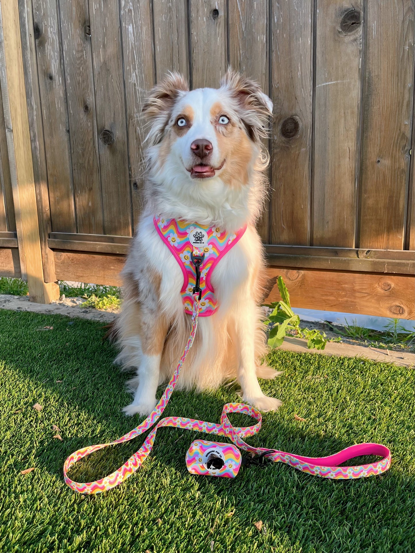 Groovy Daisy Full Walk Set