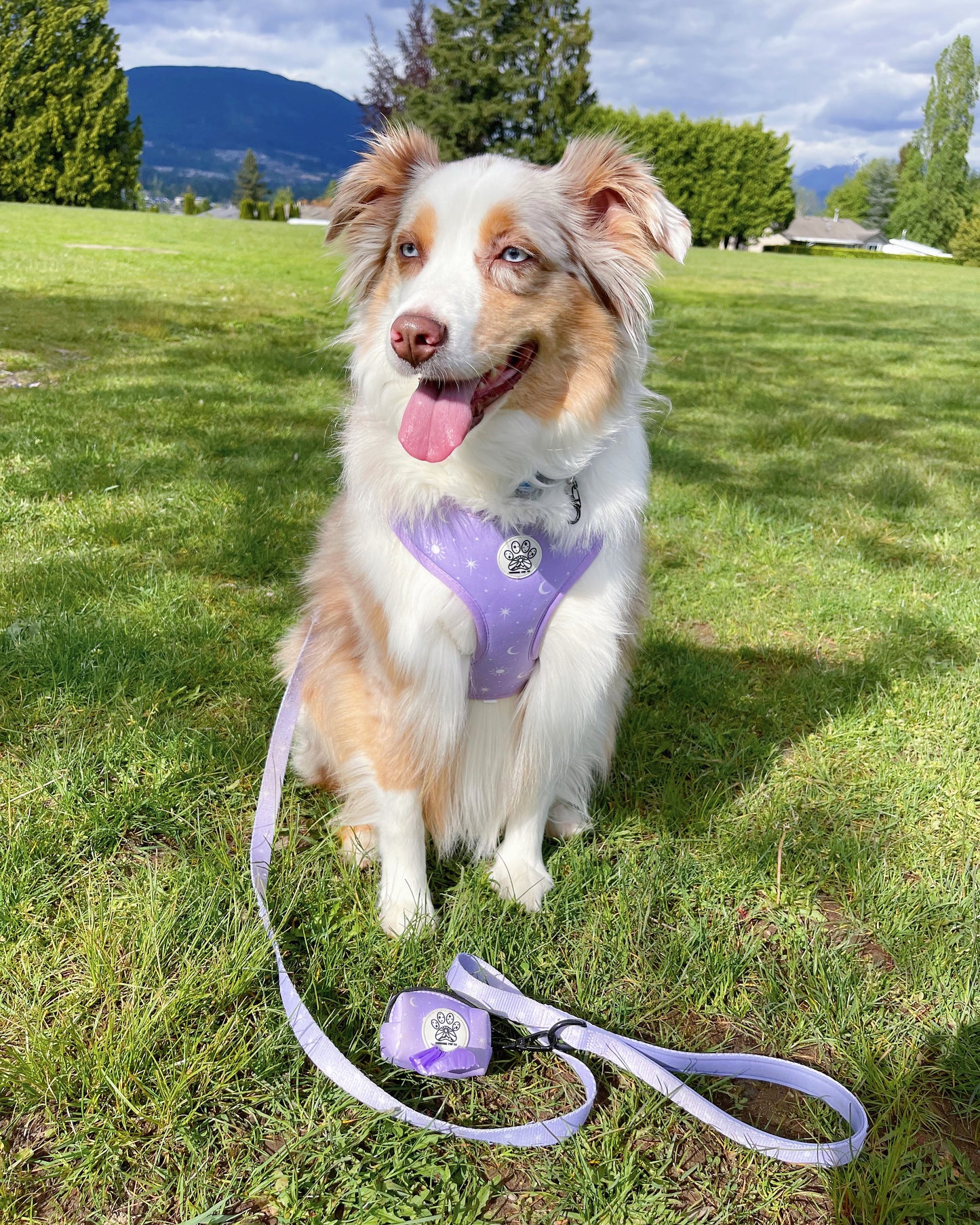 Luna Harness