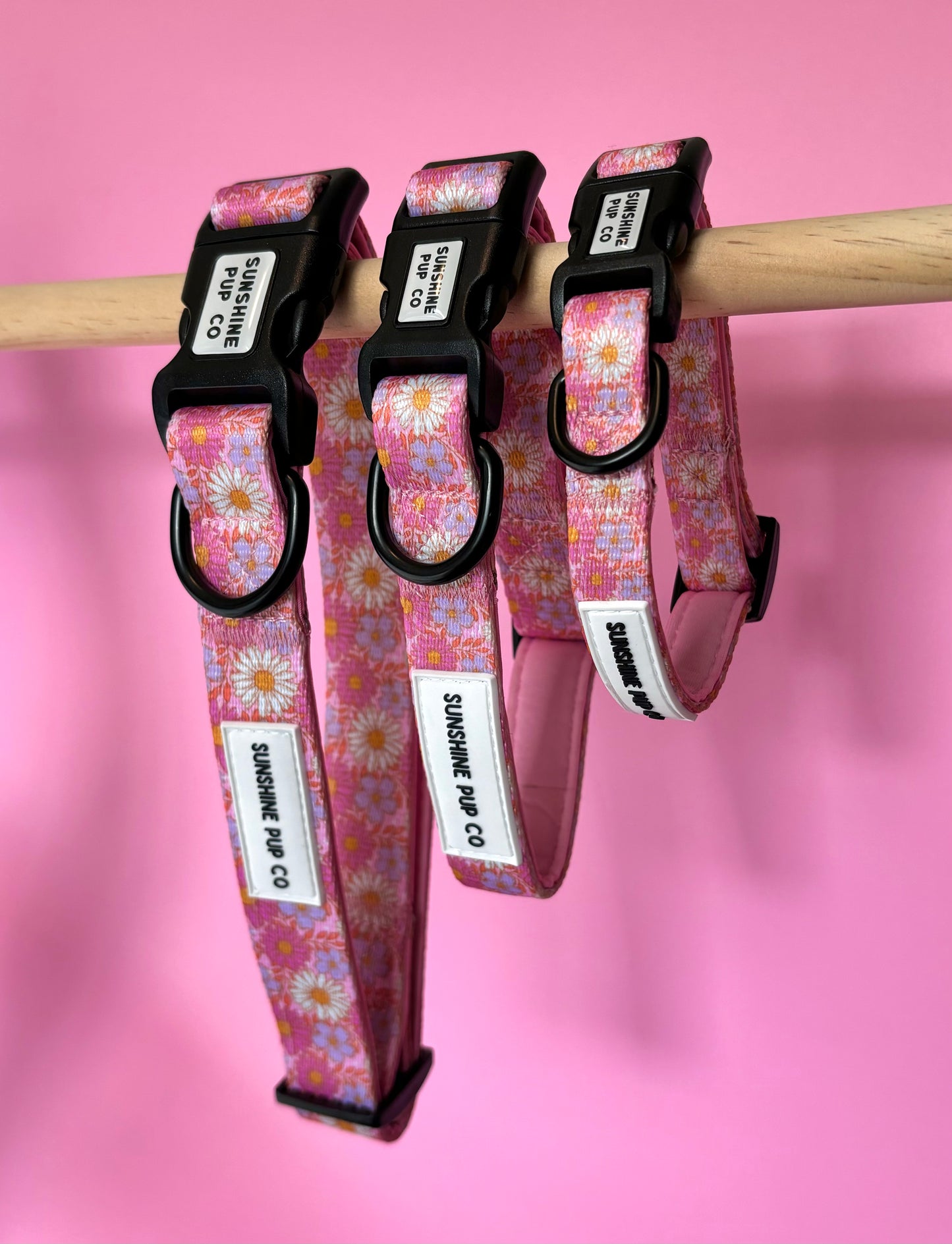 Pretty In Pink Collar