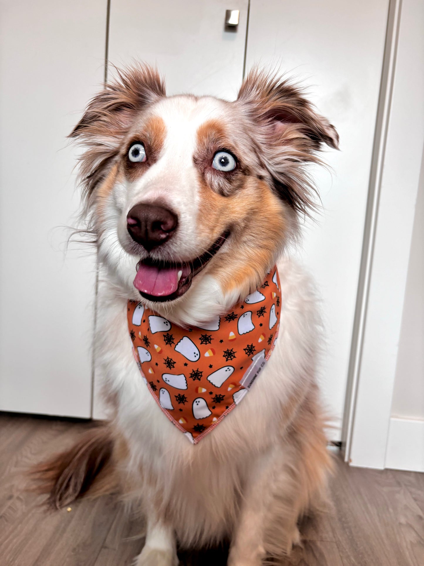 Candy Corn Ghosts Bandana