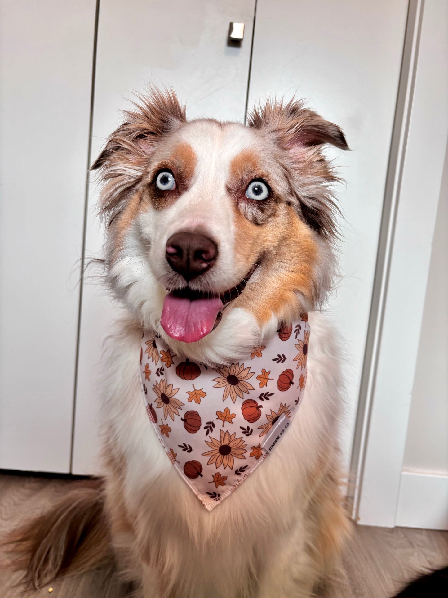 Fall Harvest Bandana