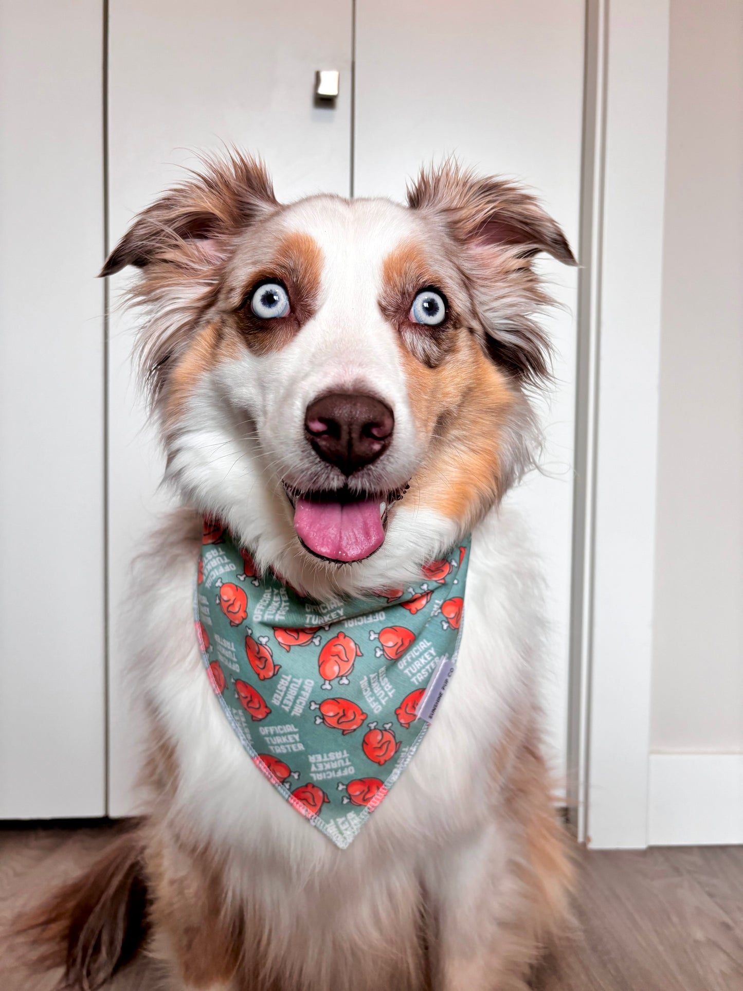 Official Turkey Taster Bandana