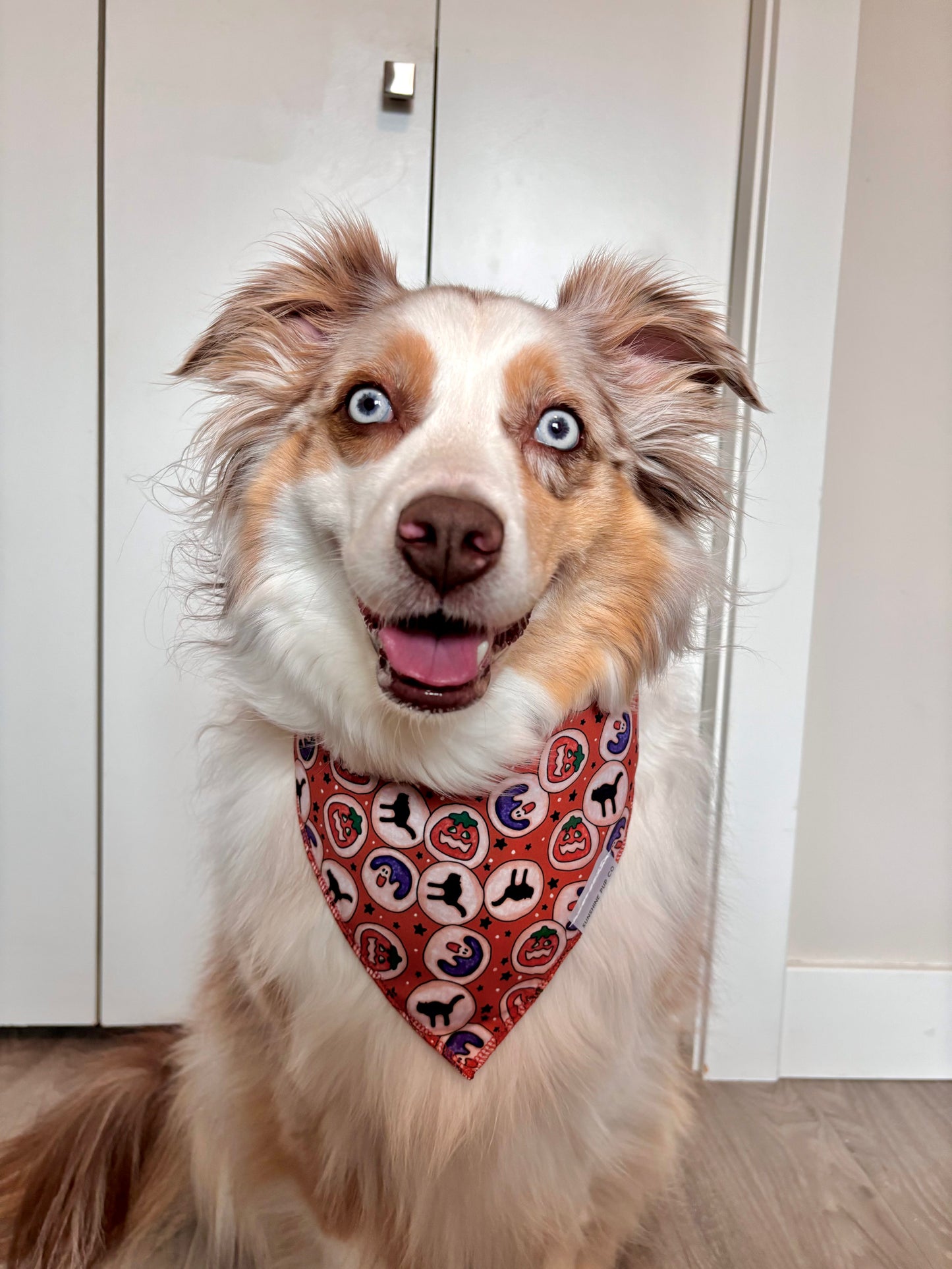 Paws-bury Cookies Bandana