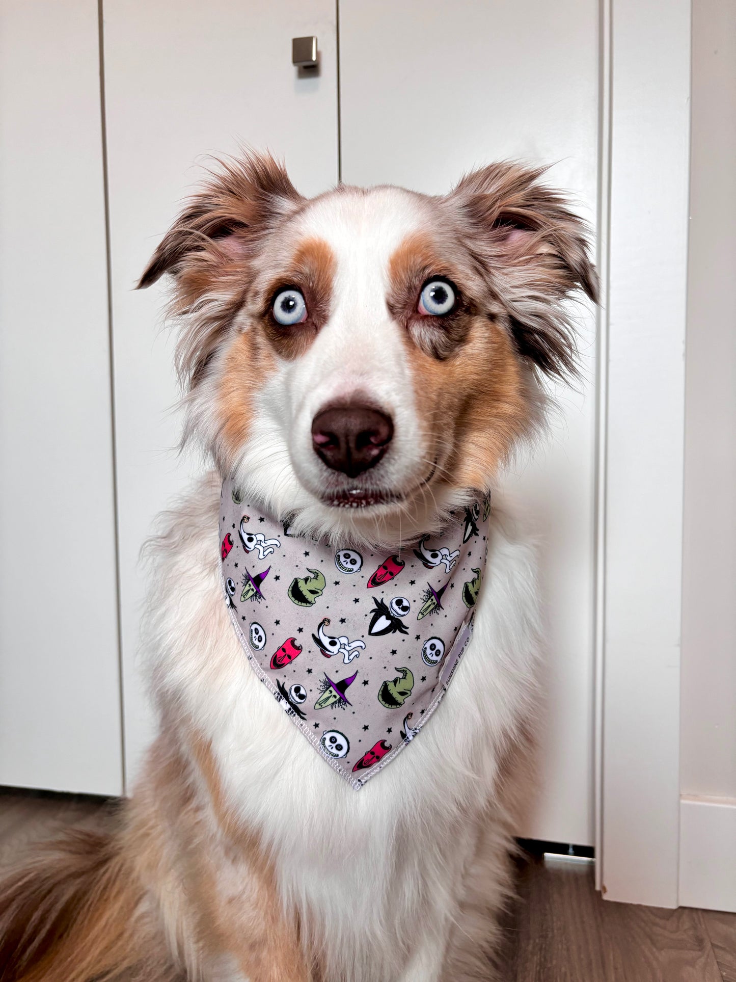 NBC Bandana