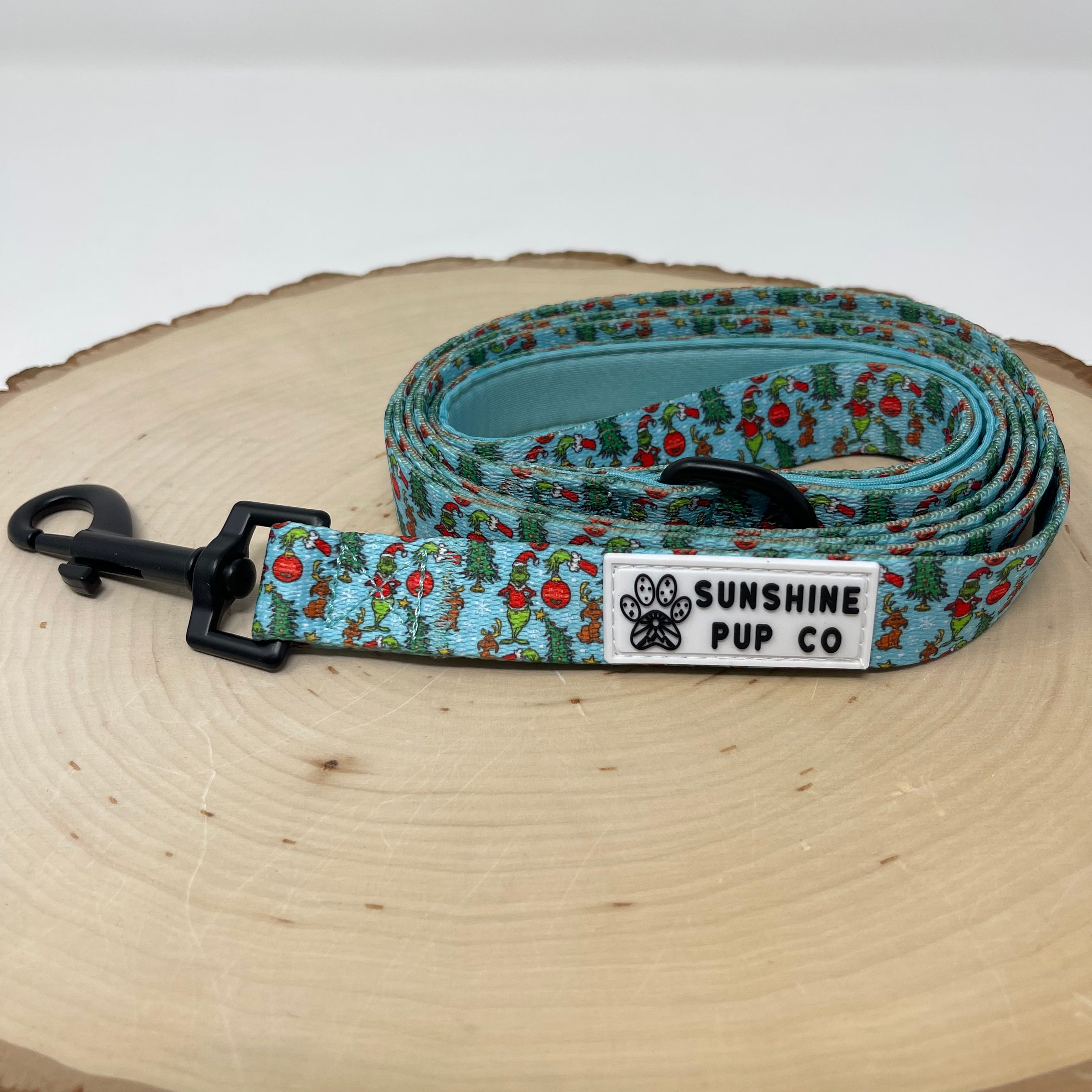 Green Guy Leash Sunshine Pup Co