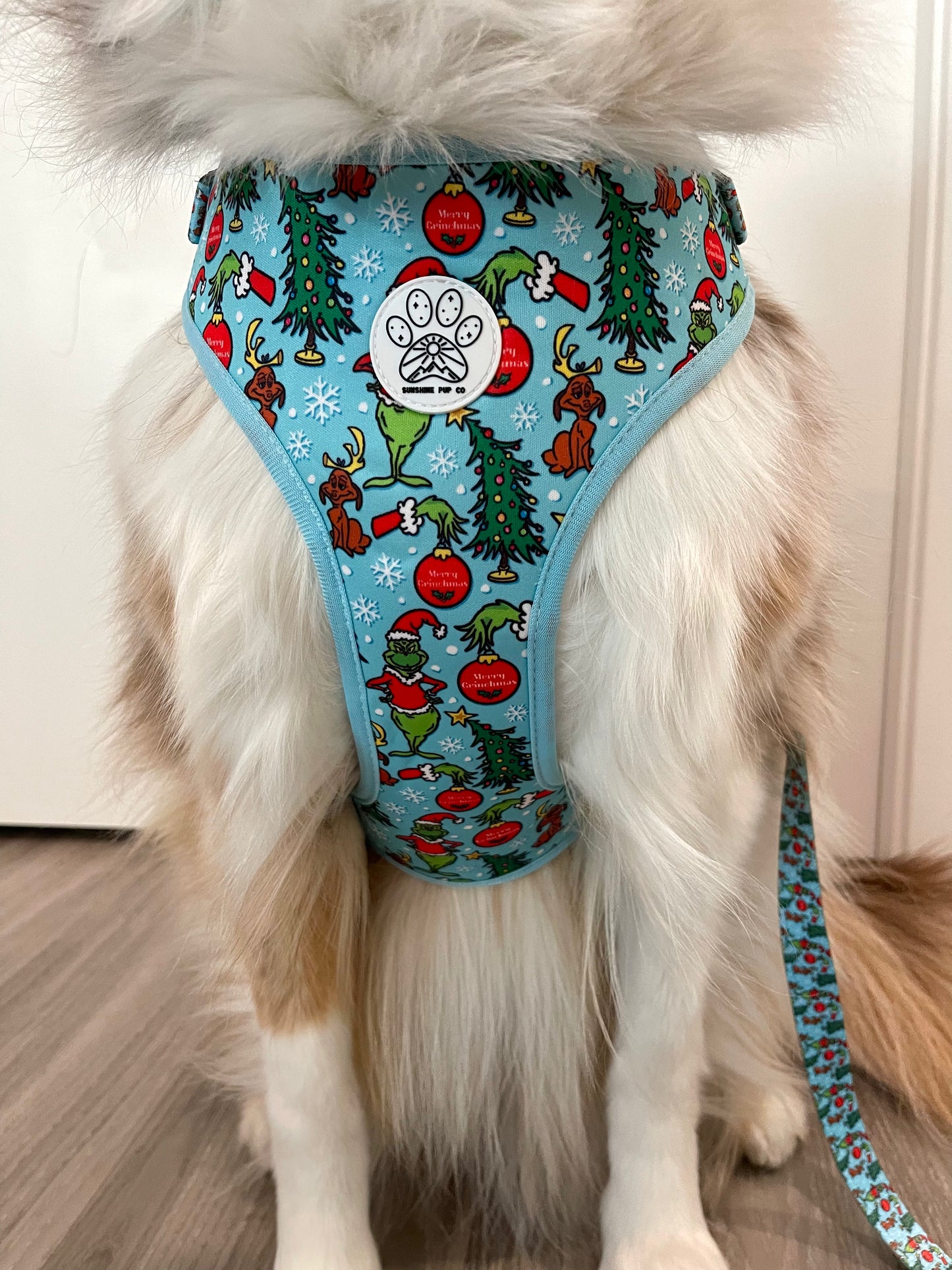Green Guy Harness