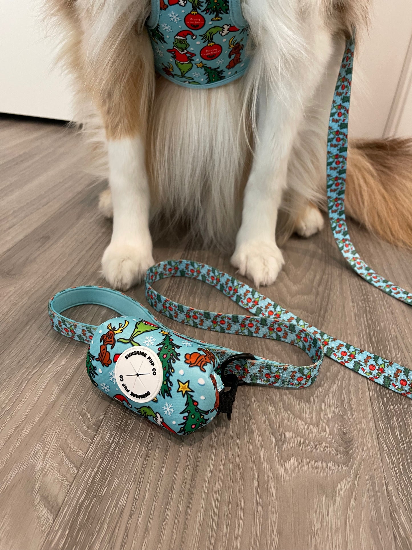 Green Guy Leash