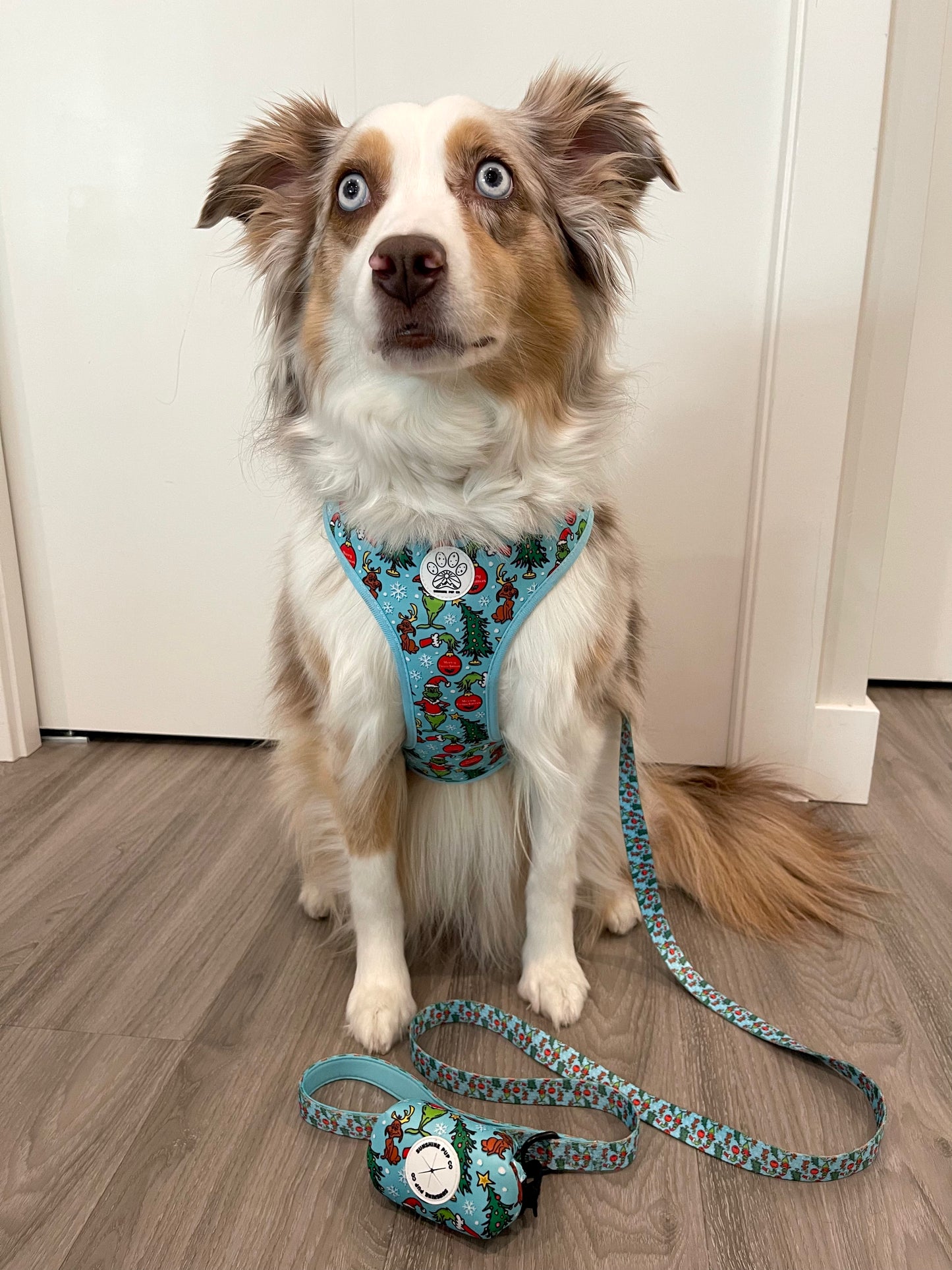 Green Guy Harness