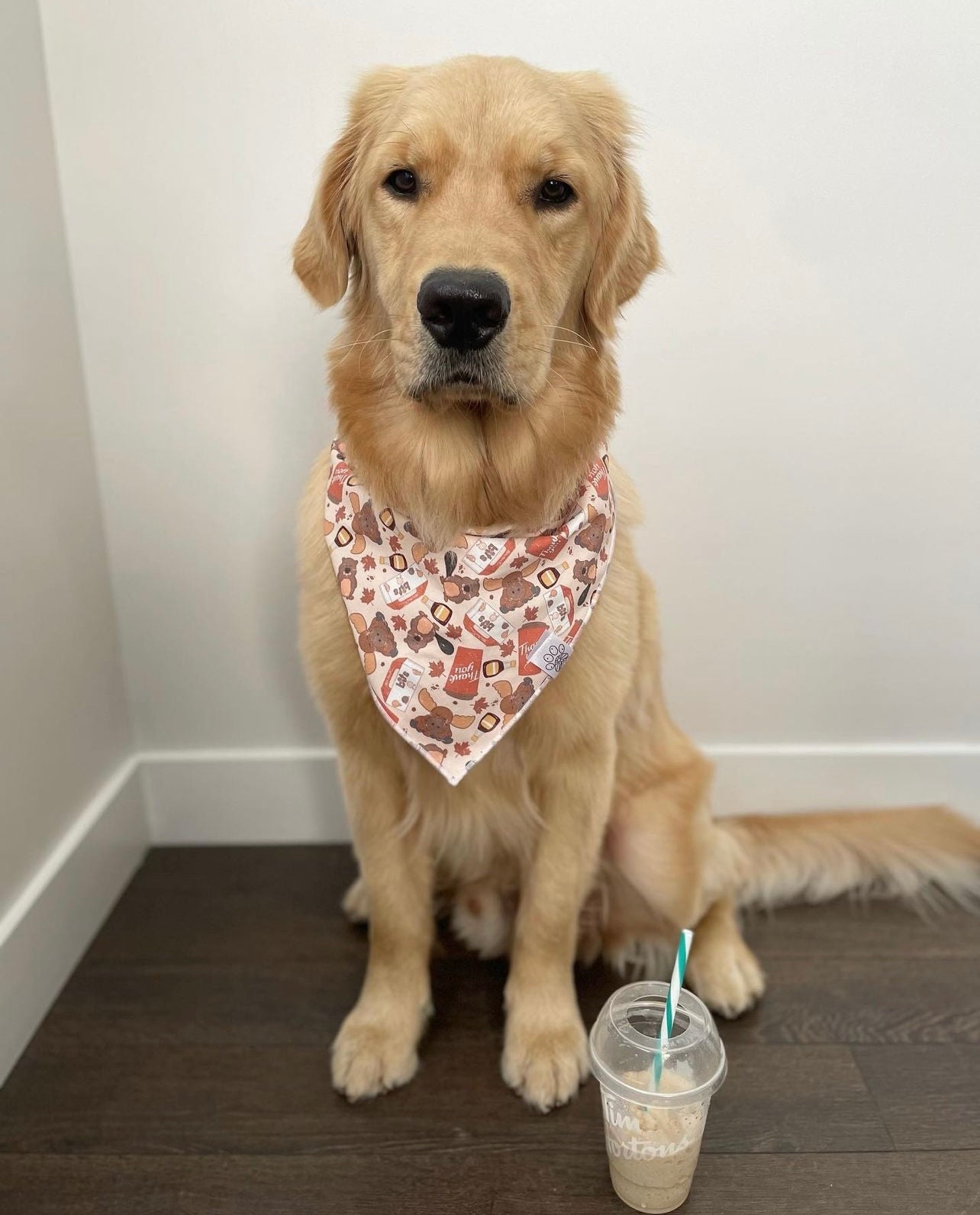 Canadian Special Bandana