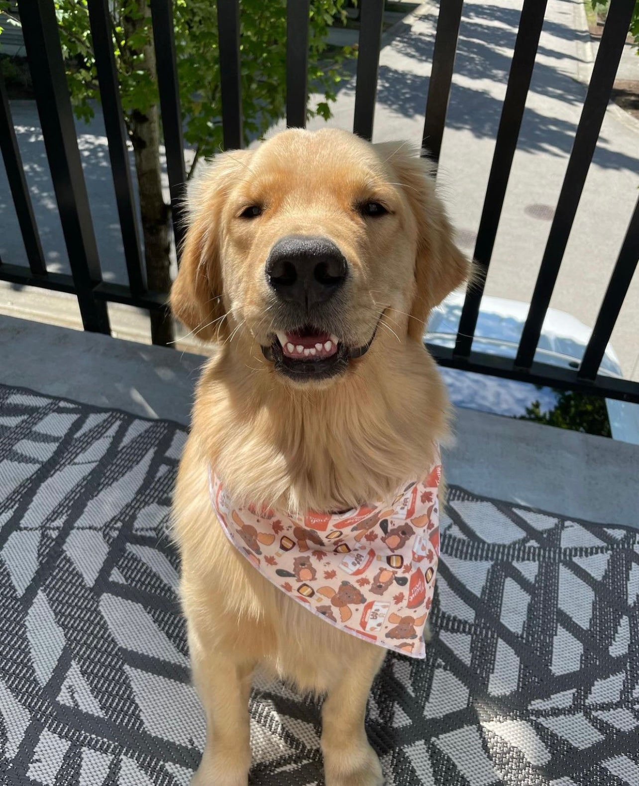 Canadian Special Bandana