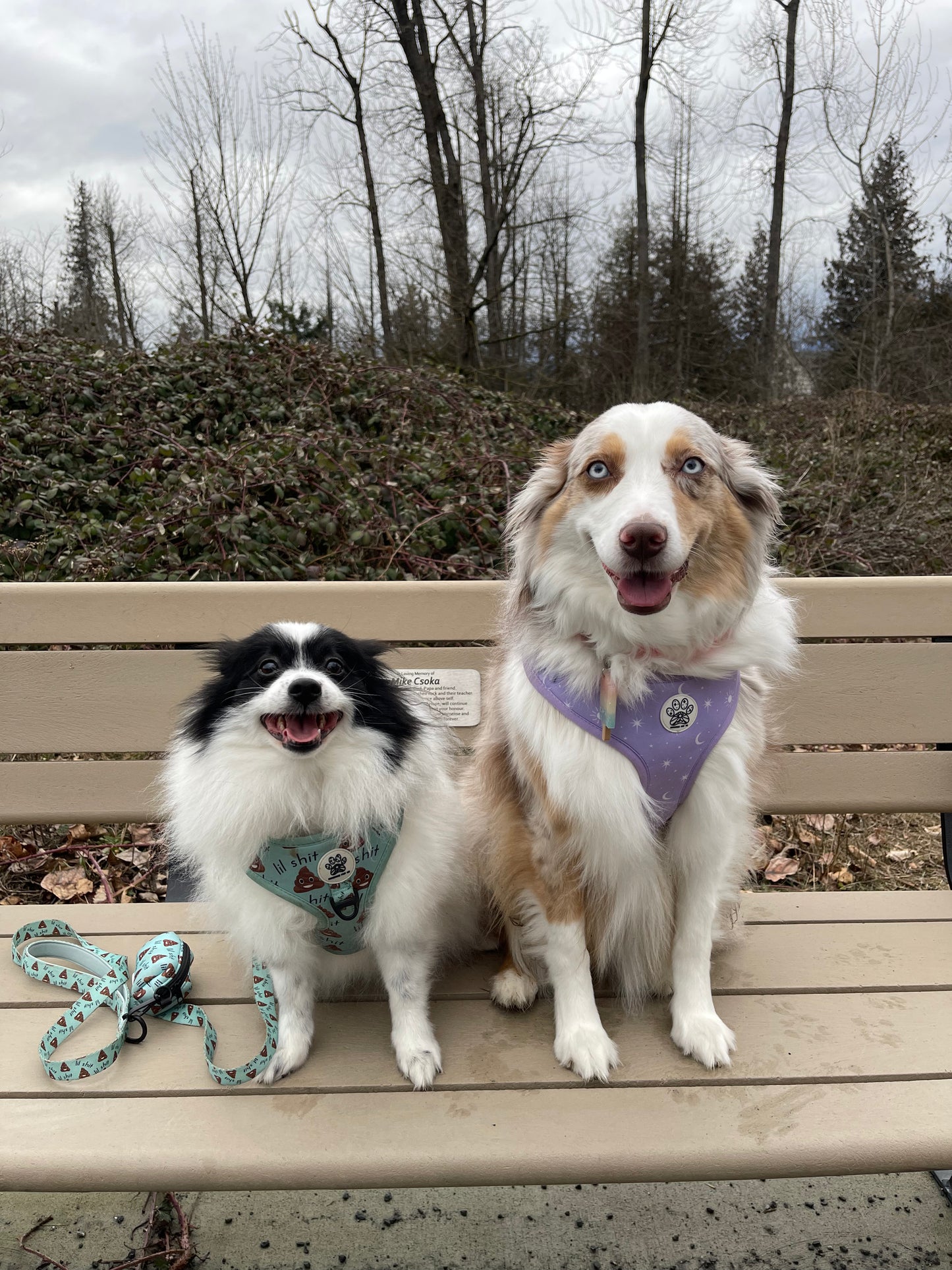 Lil Sh*t Harness