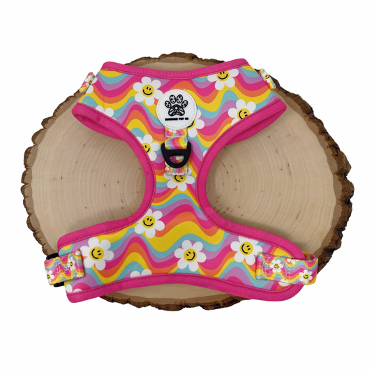 Groovy Daisy Harness