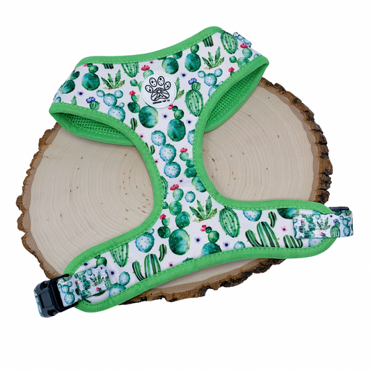 Cactus Craze Harness