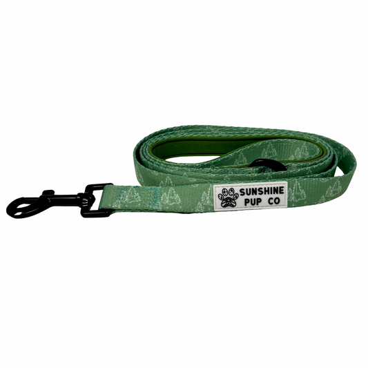 Wanderlust Leash
