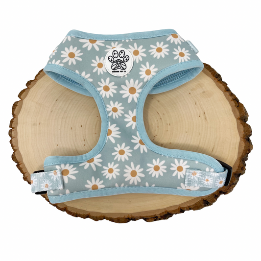 Flower Power Harness