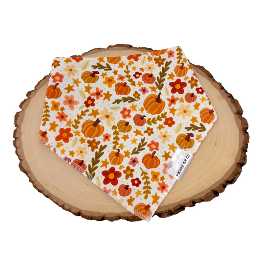 Autumn Harvest Bandana