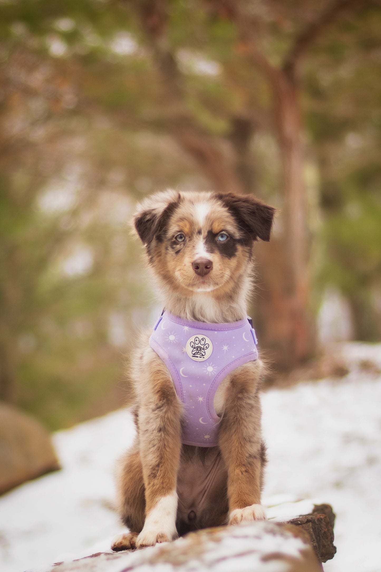 Luna Harness