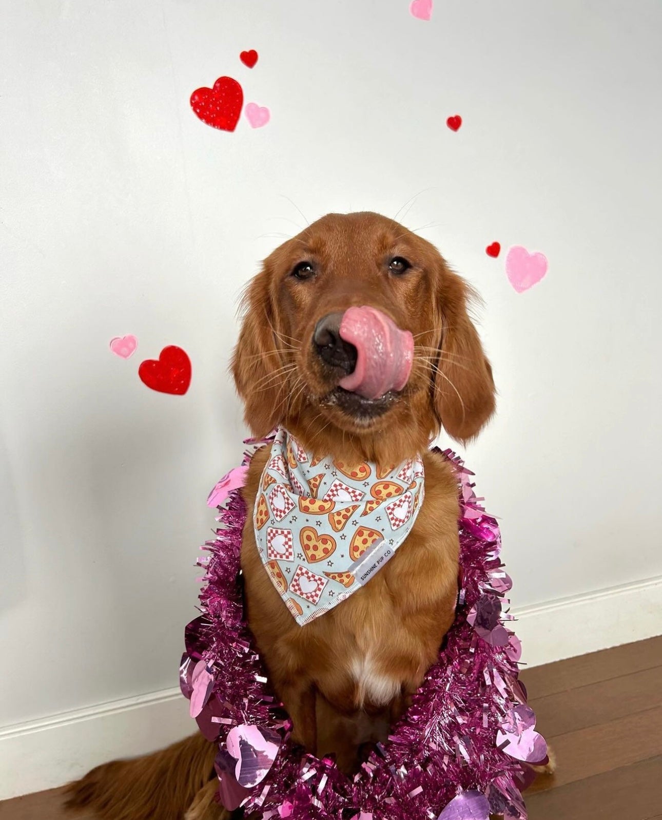 Pizza My Heart Bandana