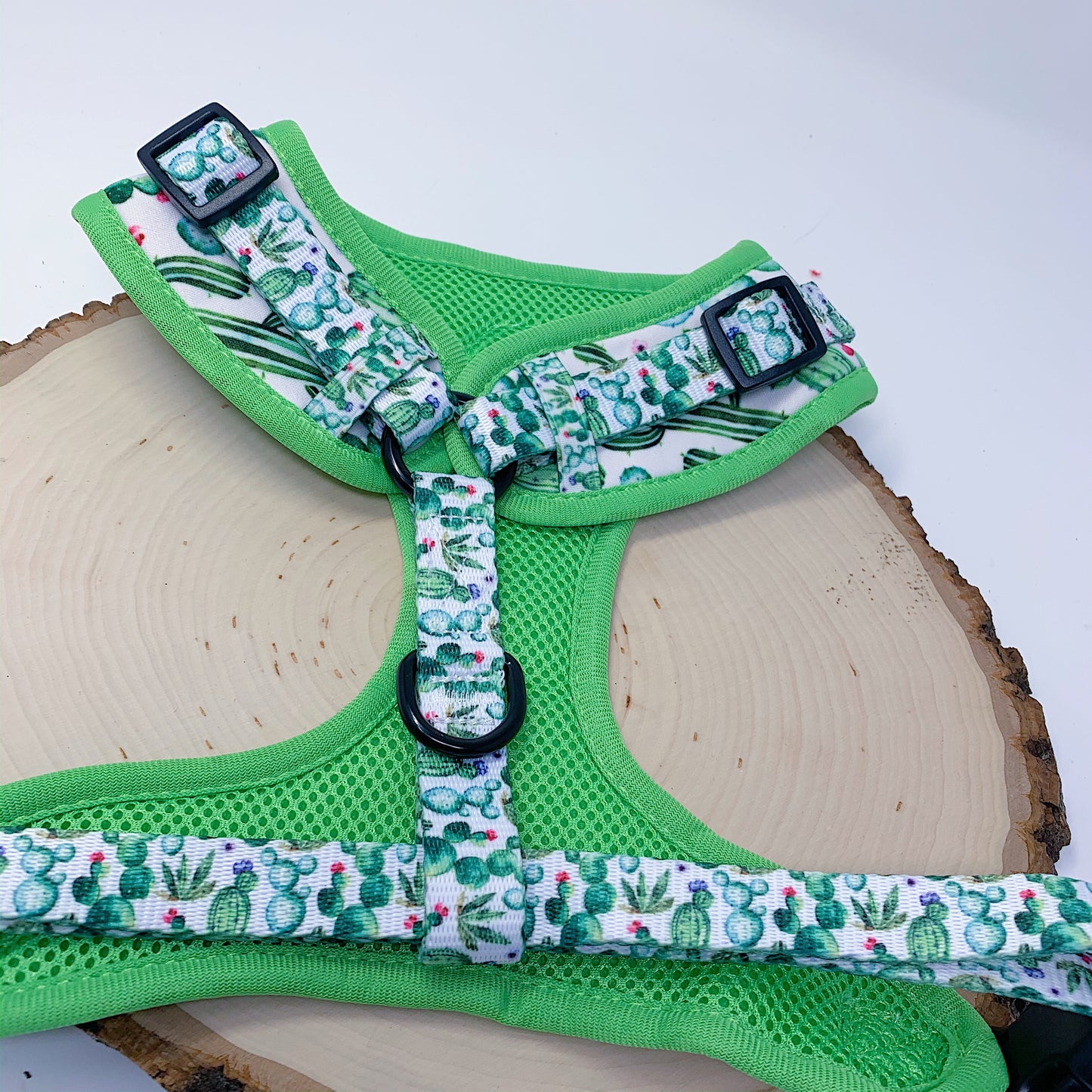 Cactus Craze Harness