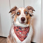 Hundred Acre Harvest Bandana