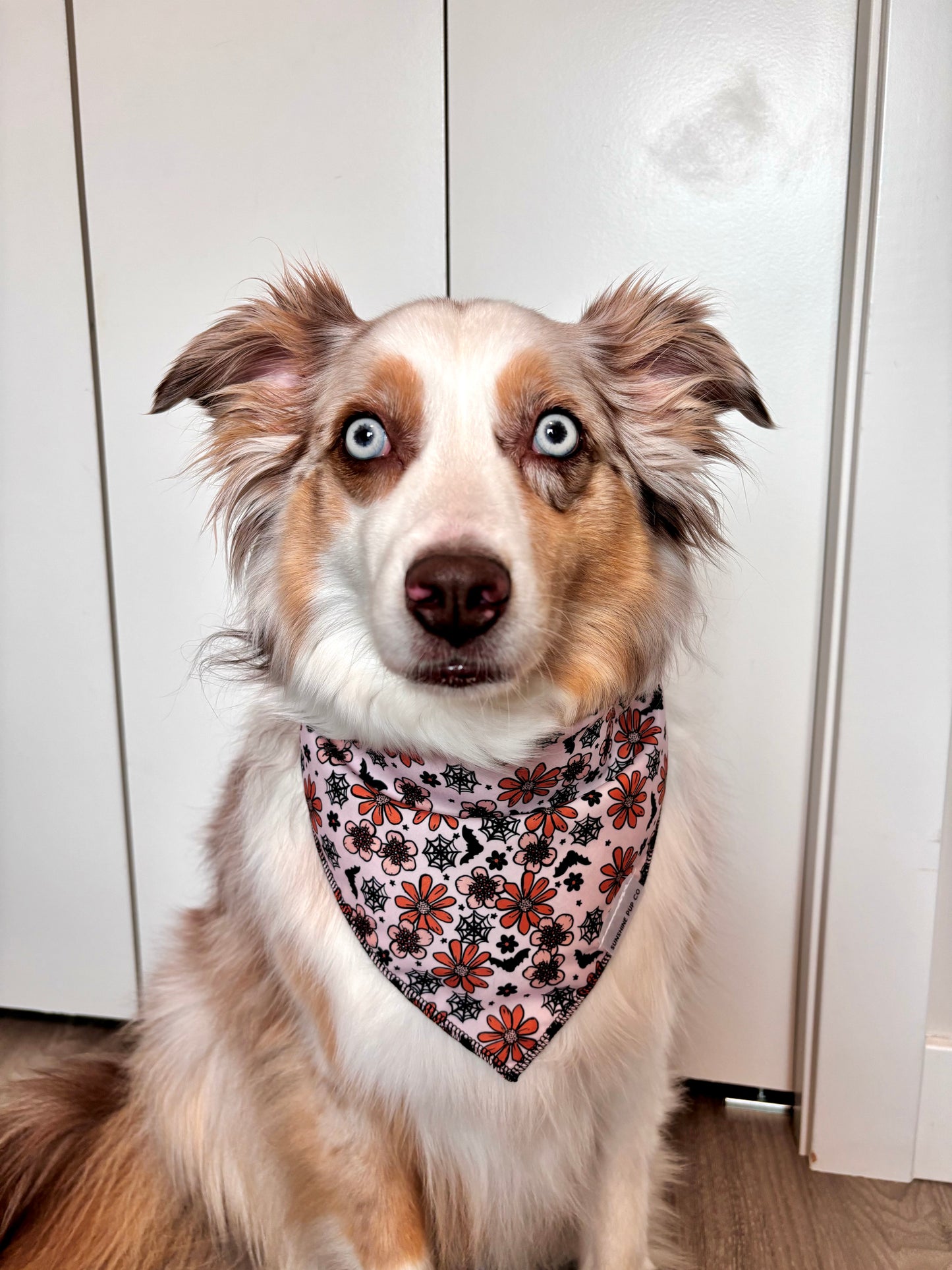 Haunted Daisies Bandana