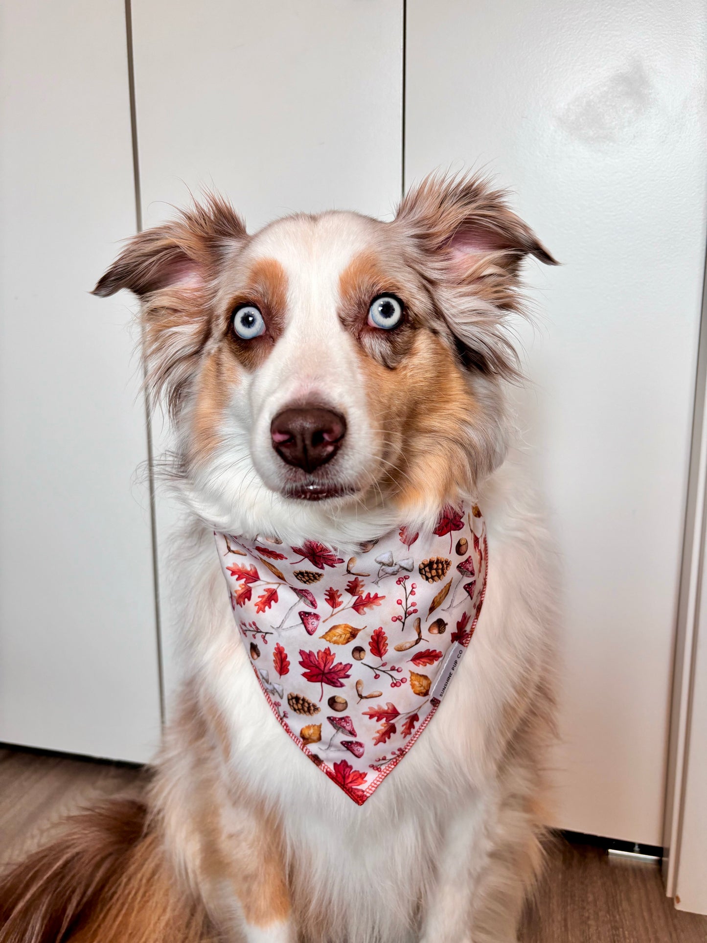 Autumn Woods Bandana