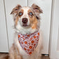 Pumpkin Spice Bandana