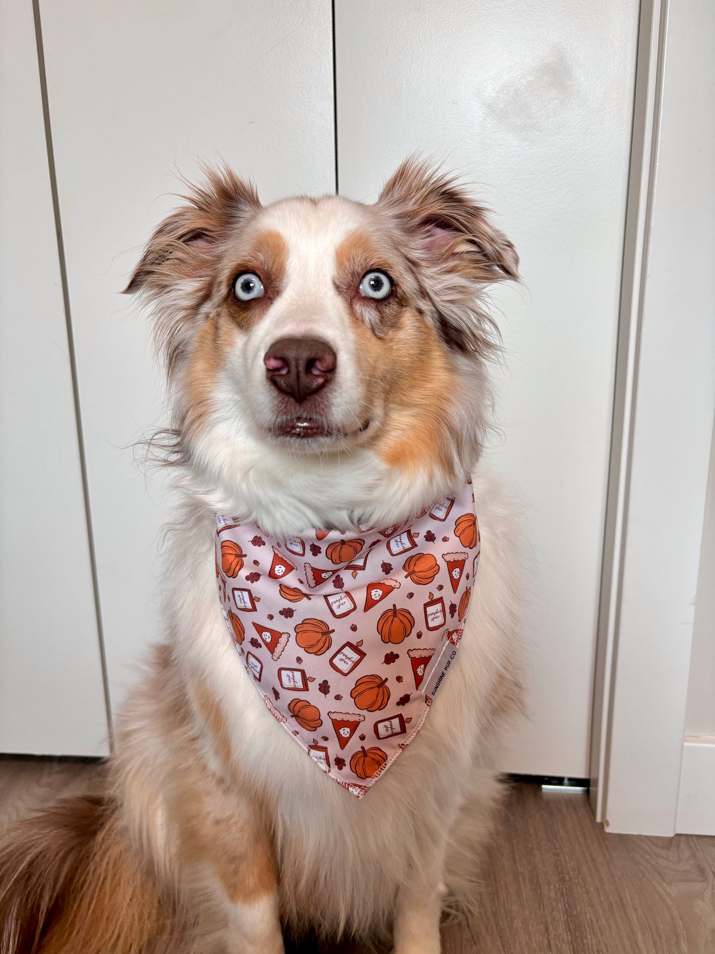 Pumpkin Spice Bandana