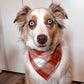 Pumpkin Plaid Bandana