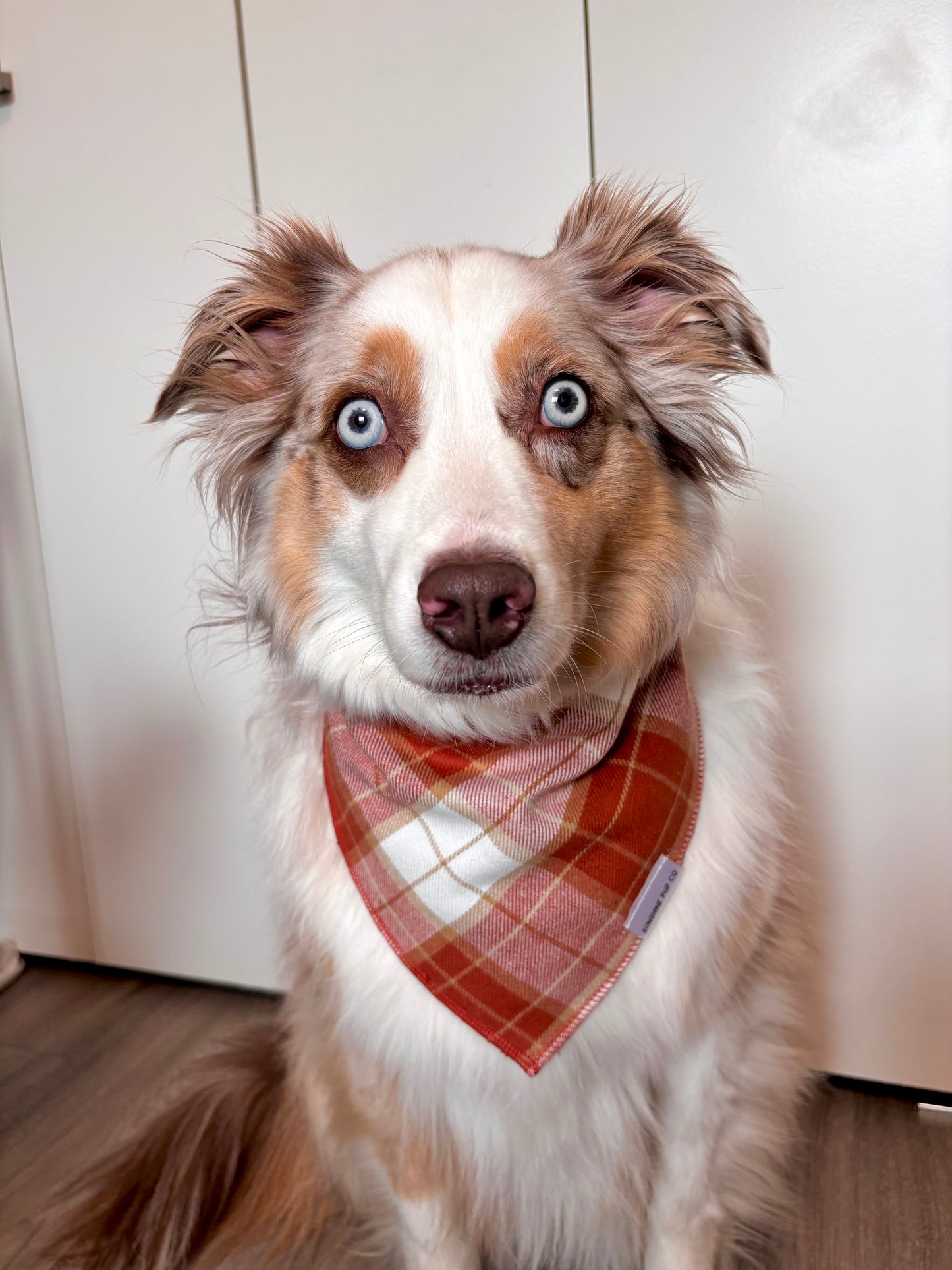 Pumpkin Plaid Bandana