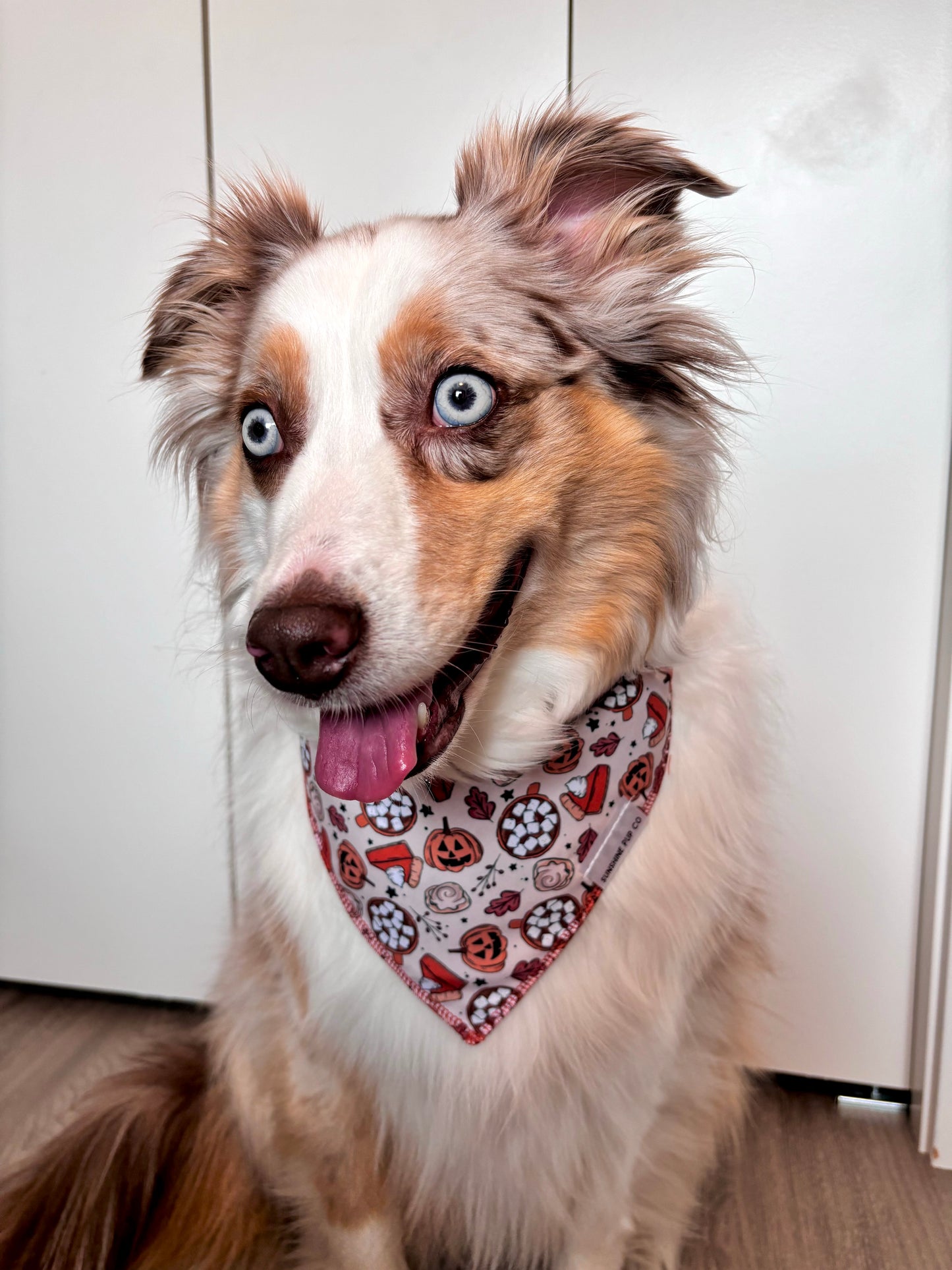 Spooky & Spice Bandana