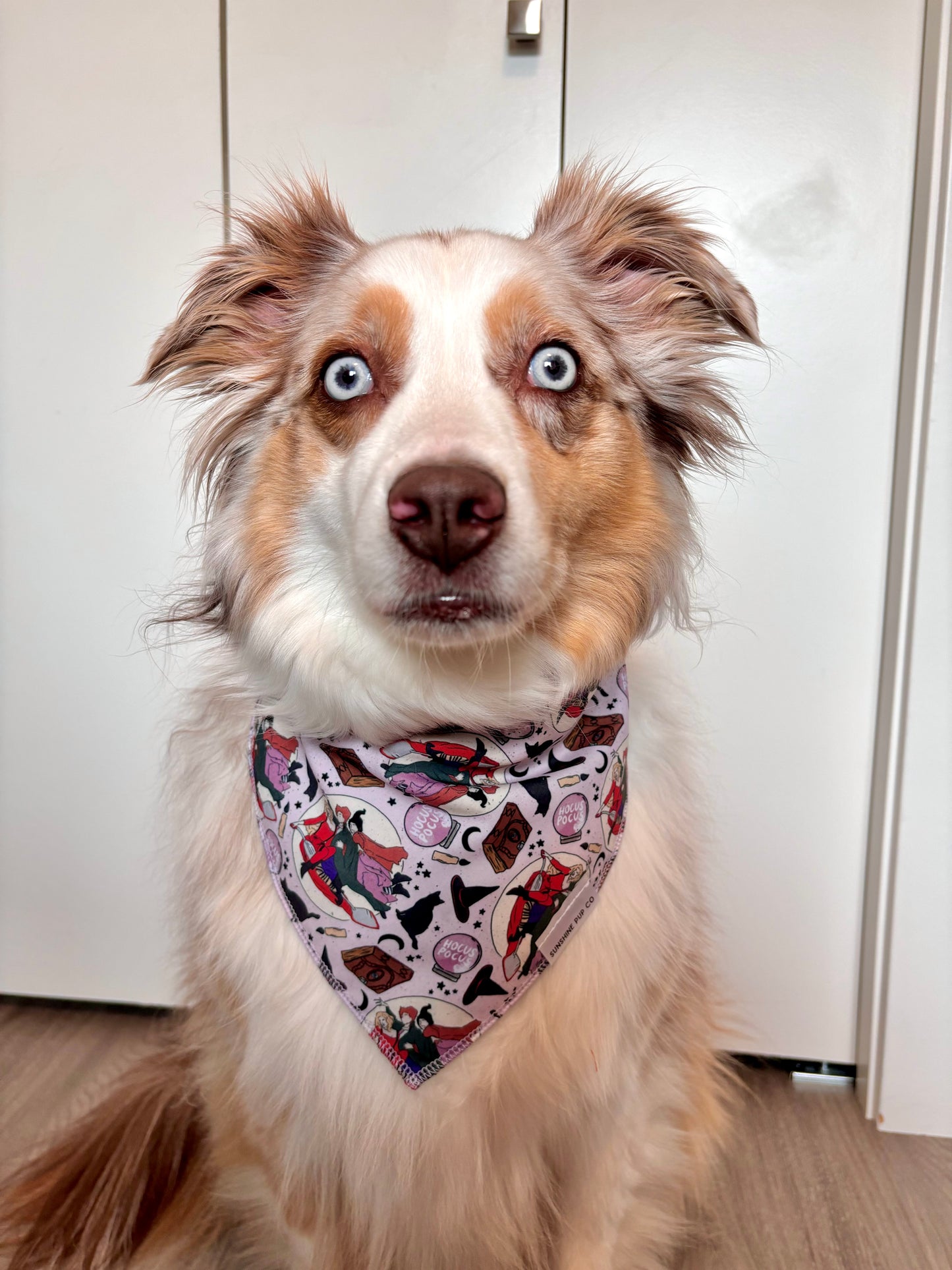 Sistaaas!! Bandana