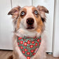 Pupkin Spice Pup Cup Bandana