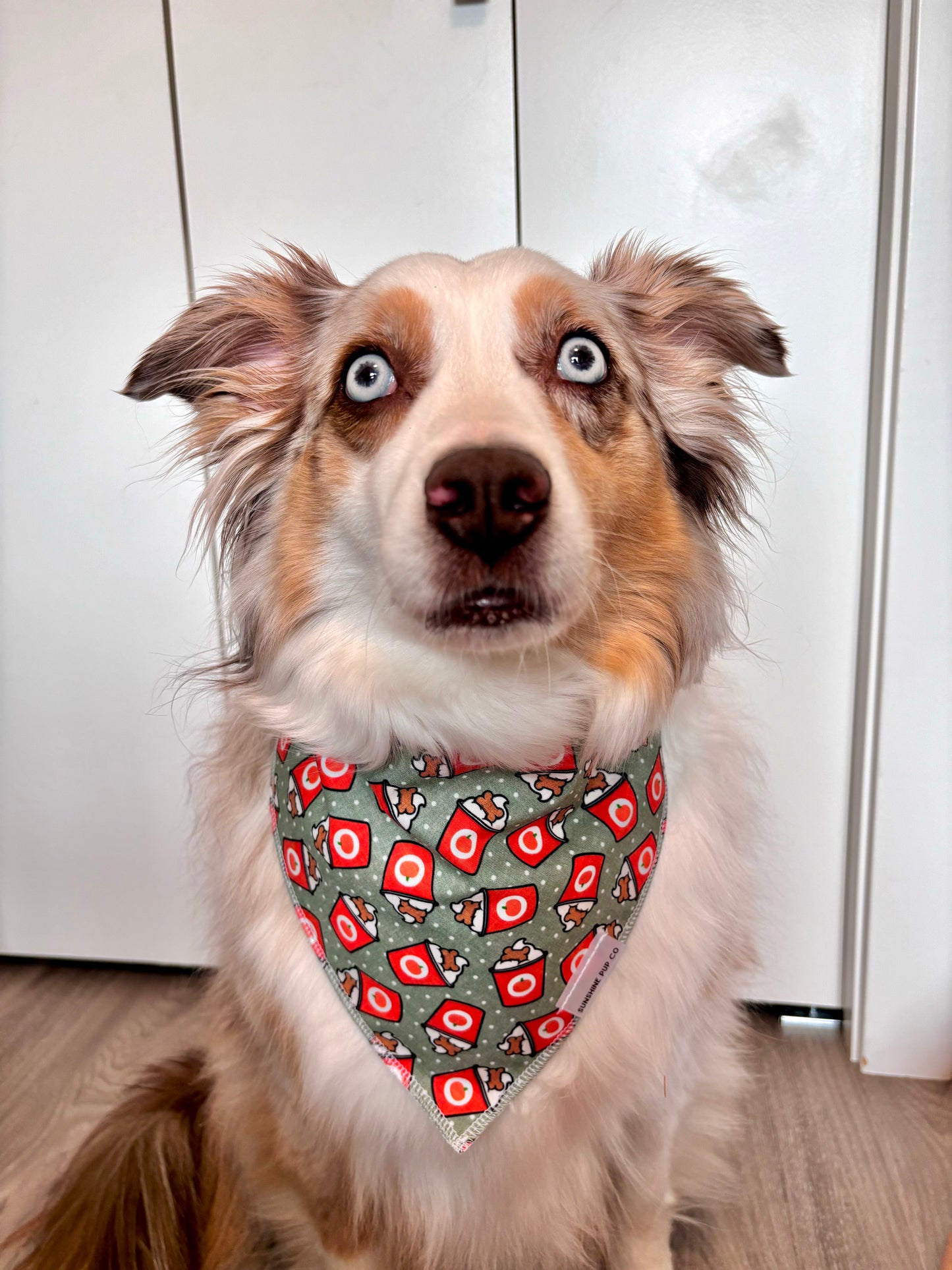 Pupkin Spice Pup Cup Bandana