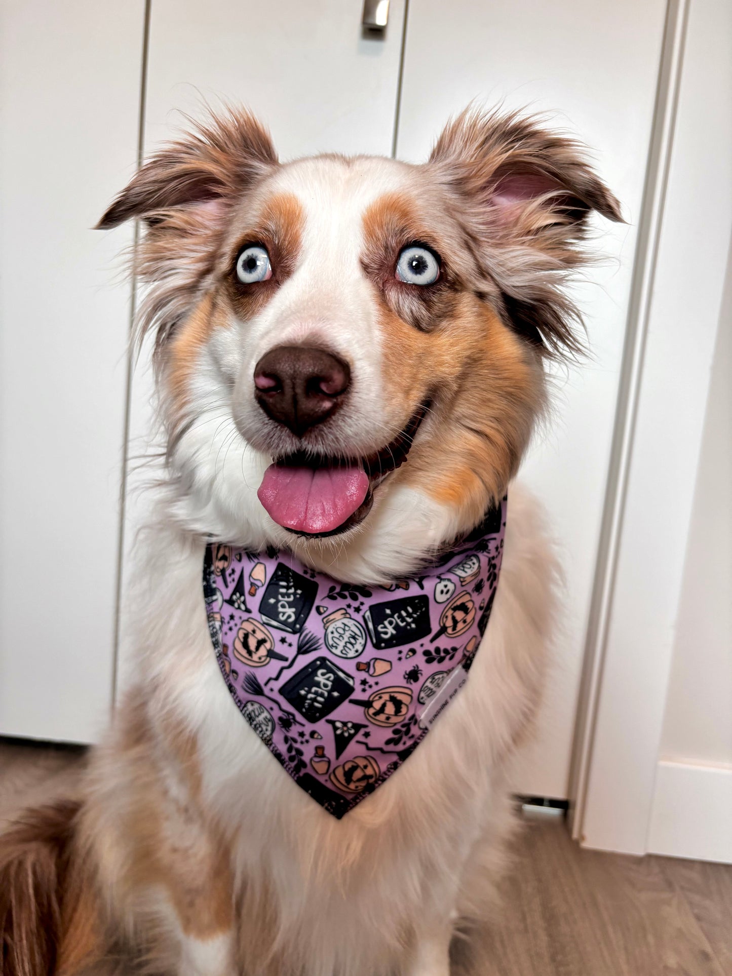 Potions & Spells Bandana