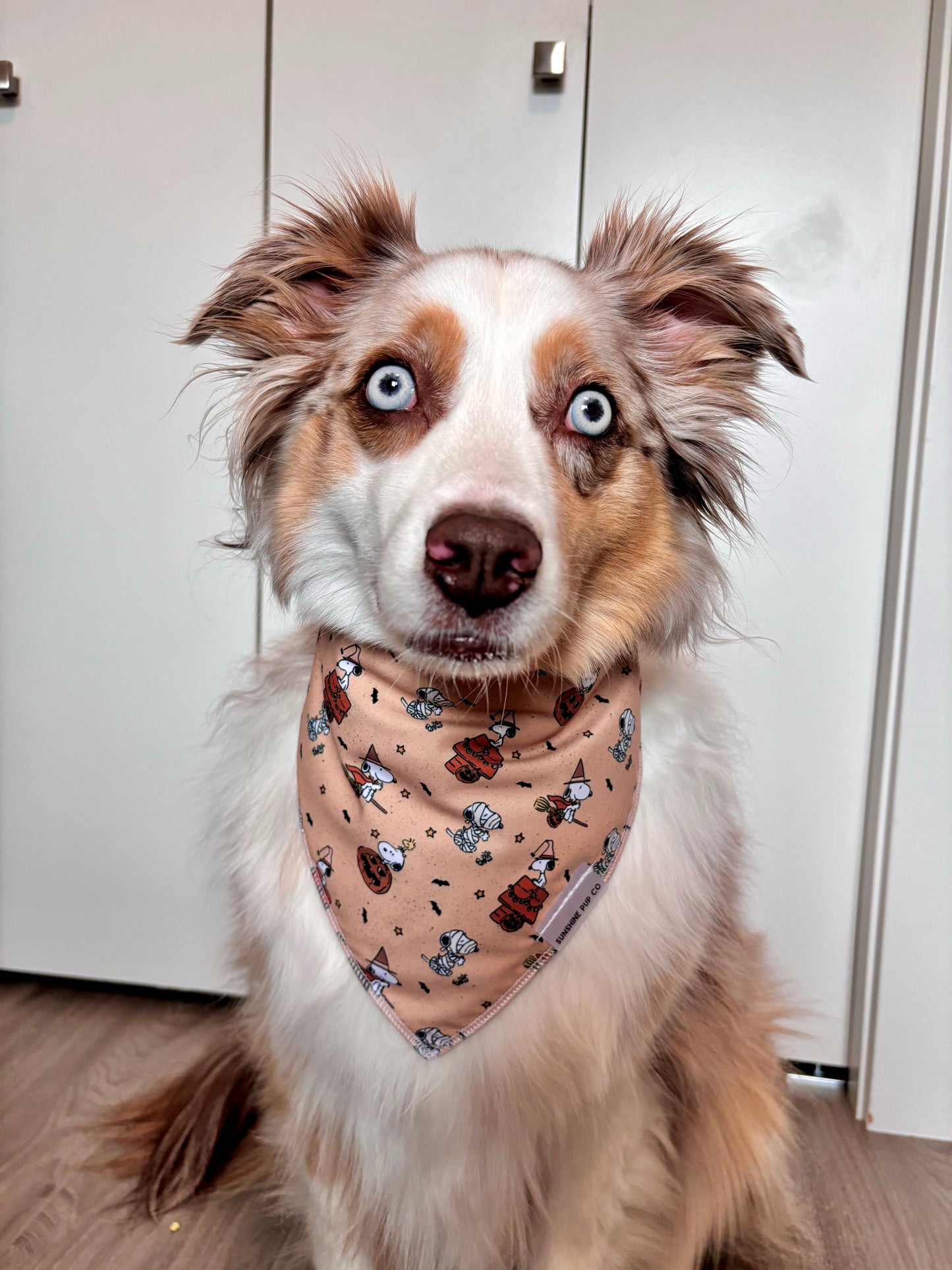 Snoopoween Bandana