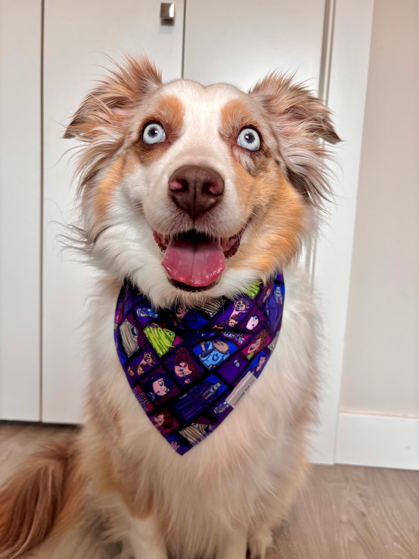 The Zing Bandana