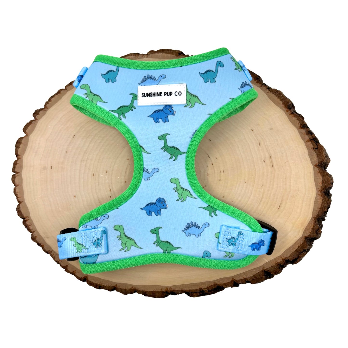 Dino-Mite Harness