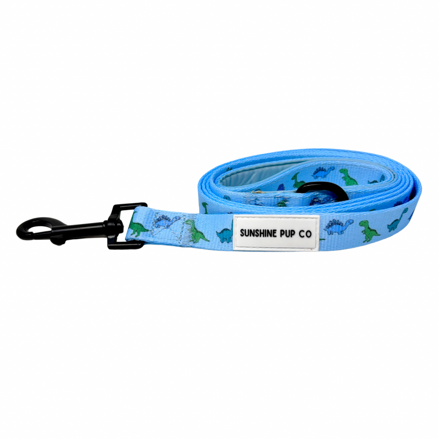 Dino-Mite Leash