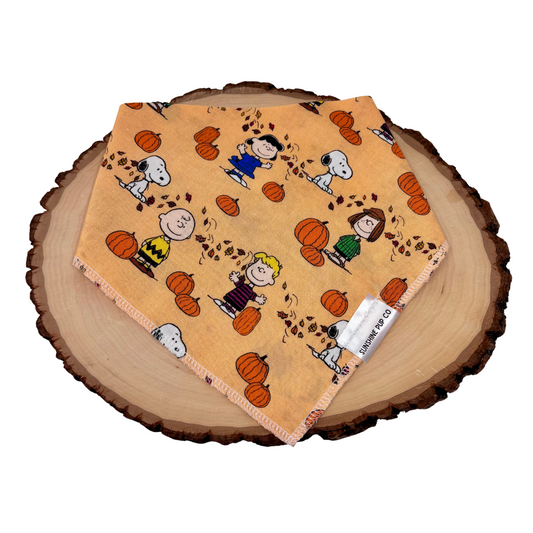 Pumpkin Patch Fun Bandana
