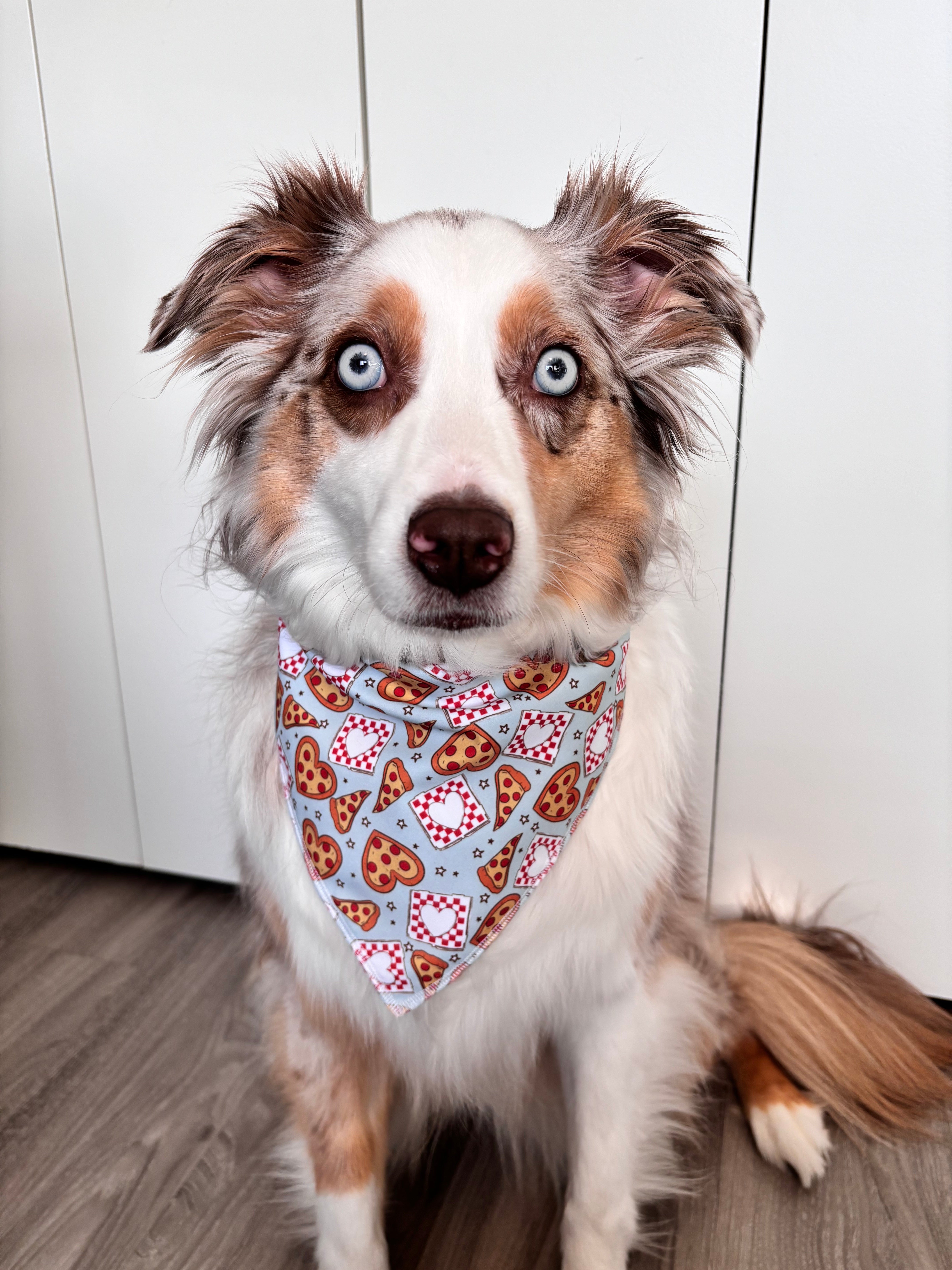 Pizza dog bandana sale